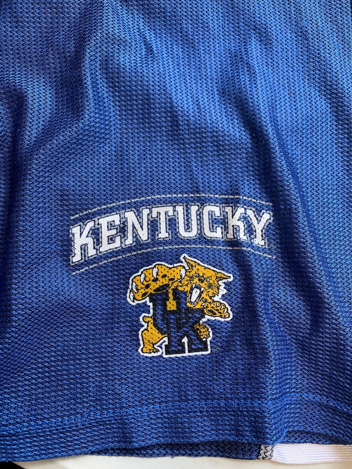 baggy blue Kentucky track shorts