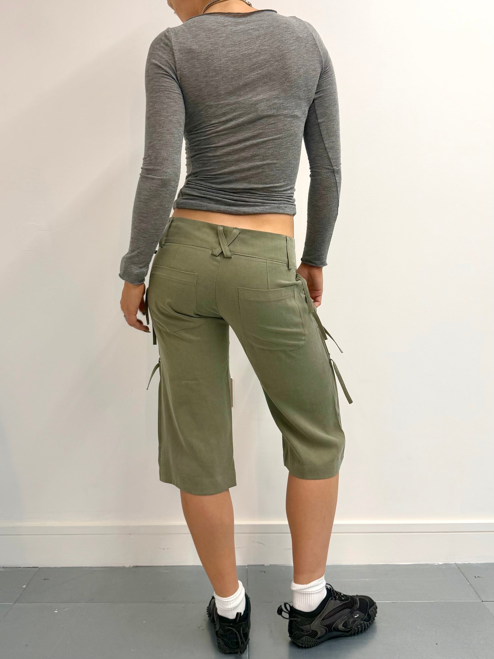 SAMPLE peter capri - sage